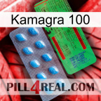 Kamagra 100 new03